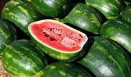 网红吃瓜八卦图片,揭秘娱乐圈幕后真相