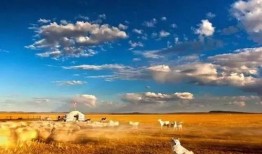 草原先生最新爆料,娱乐圈幕后真相大曝光！