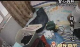 贼王最新爆料视频播放,最新爆料视频深度解析