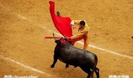 西班牙斗牛在线观看,在线观看斗牛盛宴